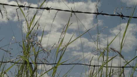 Cloudscape-view-through-barbed-wire-fence