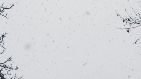 SLOW-MOTION:-POV-shot-of-snow-falling-heavily-from-the-sky