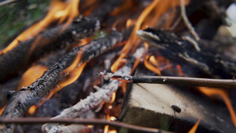 Burning-wooden-beams,-close-up-shot-of-bonfire-outdoors