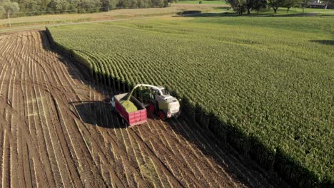 4K-aerial-view-following-from-behind-of-a-harvester-chopping-corn-into-a-truck