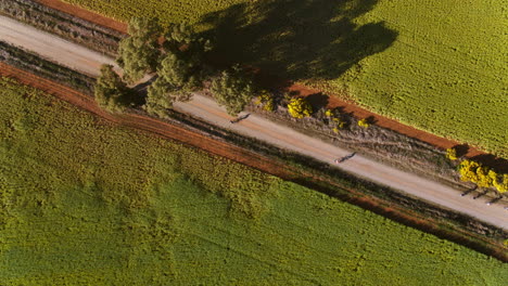 Aerial-of-large-group-of-cyclist-racing-along-dirt-road-in-rural-Australia