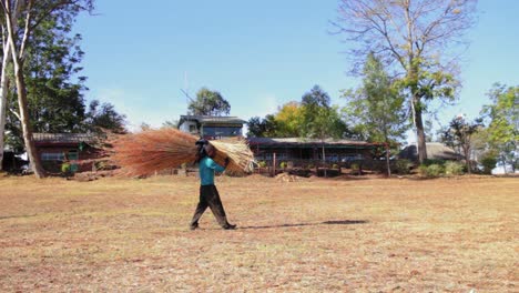 A-stationary-shot-of-a-man-carrying-thatch-on-a-dry-field-under-sunny-conditions