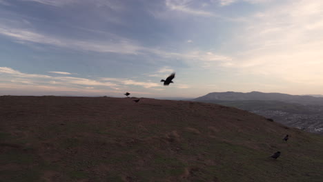 Shot-of-brids-flying-in-the-spot-due-to-high-winds-on-top-of-the-mountain-with-beautiful-sky-and-cityscape-of-Edinburgh-in-the-background