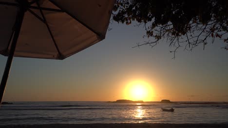 4K-tropical-beach-sunset-background