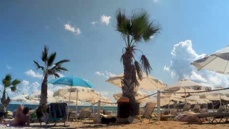 Beach-with-palm-trees,-canopies,-umbrellas-and-sun-beds