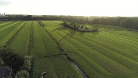 Luftaufnahme-Einer-Wunderschönen-Niederländischen-Landschaft-Bei-Sonnenuntergang-Mit-Schönen-Schatten-Der-Grünen-Bäume