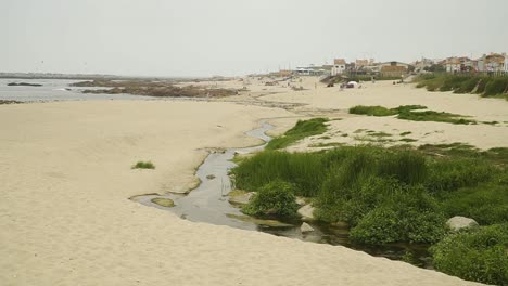 Small-river-called-Ribeira-da-Carreira-closeup-near-the-beach-of-Funtão,-Angeiras,-Lavra,-MATOSINHOS,-PORTO,-PORTUGAL