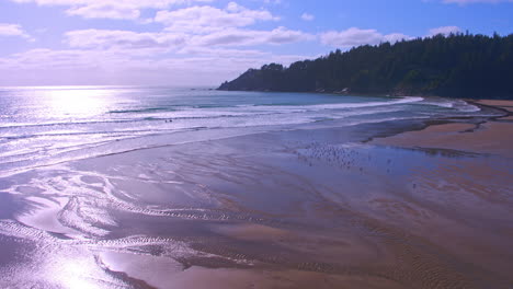 Luftaufnahmen-über-Dem-Strand,-Wellen,-Surfer,-Fliegende-Möwen,-Reflexionen