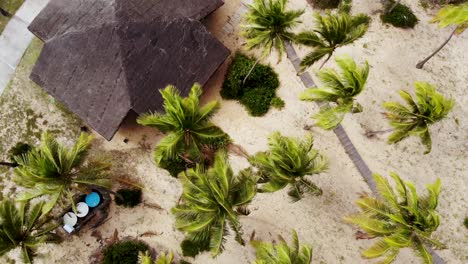 Drone-beach-bungalow,-coconut-trees-in-the-wind