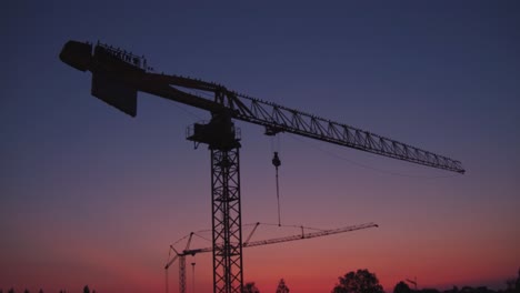 Construction-cranes-with-birds-at-sunset