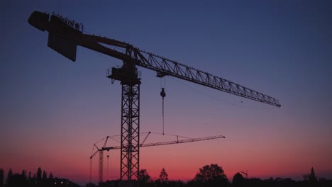 Ravens-sit-on-a-crane-on-construction-site-at-sunset