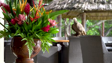 Wunderschöne-Tropische-Blumenarrangementdekoration-Im-Restaurant-Am-Meer