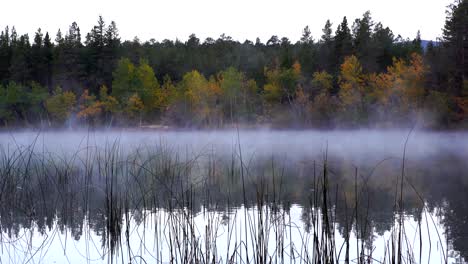 Frühmorgendlicher-Nebel-über-Dem-See-Vor-Einem-Hintergrund-Aus-Herbstlaub