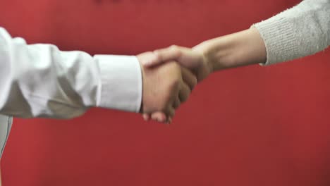 Man-and-woman-hearty,-cordial-handshake,-partnership,-greeting,-cooperation