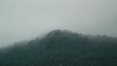 Zeitraffer-Eines-Waldes-Mit-Nebel,-Der-Am-Hügel-Vorbeizieht-–-4K-Zeitraffer