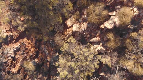 Aerial-overhead,-Rocky-ground-and-native-bush,-Australia