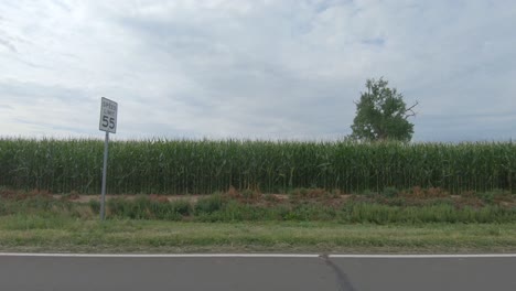 A-drive-along-a-country-road-as-fields-of-crops-race-by
