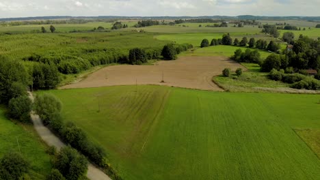 Luftaufnahmen-über-Dem-Dorfraum,-Schöne-Grüne-Wiese,-Frisches-Gras-Und-Naturlandschaft,-Ostpolen,-Magischer-Himmel-Und-Hohe-Bäume-In-Der-Horizontalen