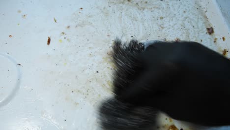 Using-steel-wool-to-remove-in-burned-food-on-the-surface-of-a-dirty-gas-stove