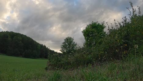 Timelapse-of-moving-clouds-in-the-nature-at-a-green-meadow,-filmed-from-lower-perspective-while-the-sunset-is-starting