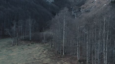 Foto-Reveladora-De-Un-Paisaje-Montañoso-Que-Comienza-Con-Un-Bosque-Muerto