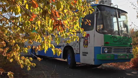 Converted-bus-turned-into-roadside-cafe-parked-stationary-on-side-road-viewed-through-autumn-leaves-on-tree