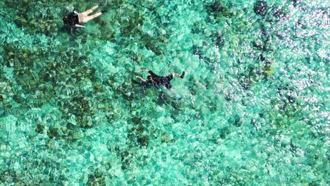 Tourists-couple-enjoy-swimming-snorkeling-over-coral-reef-with-drone-aerial-flying-view-in-crystal-clear-aqua-blue