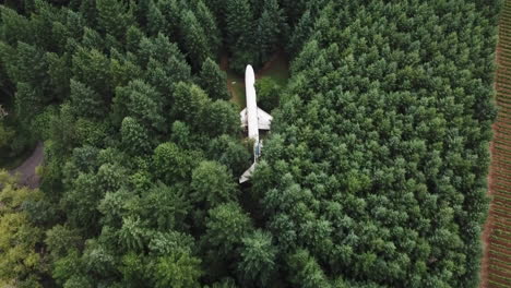 Landed-Old-Aiplane-Hidden-in-Woods-of-Oregon-Landscape,-Birds-Eye-Aerial