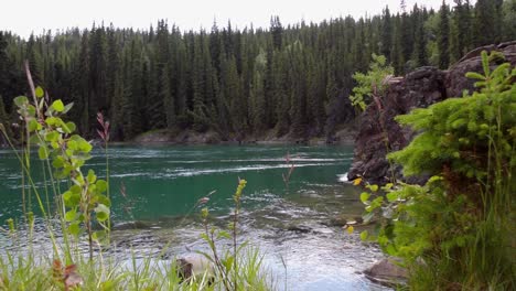 Lakeside-landscape-at-Yukon-River-in-Miles-Canyon,-long-shot