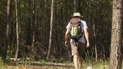 Man-in-hiking-gear-and-backpack-walking-on-forest-trail