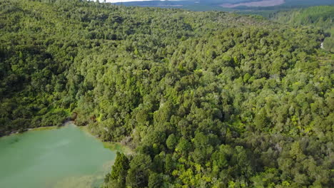 Aerial-shot-of-Green-rainforest