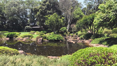 Tranquil-Pond-with-flowing-water,-Japanese-Gardens,-Botanical-Gardens-Mt-Coot-Tha-Brisbane