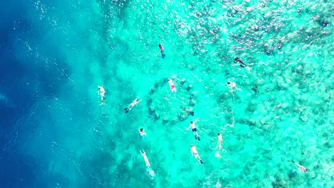 Crystal-Clear-Waters-Showing-Group-Of-People-Enjoying-Snorkeling-Swimming-During-The-Summertime---Aerial-Shot