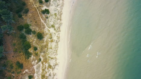 drone-flying-high-above-Loederups-Strandbad-beach-with-birds-ey-view-down-to-the-coastline