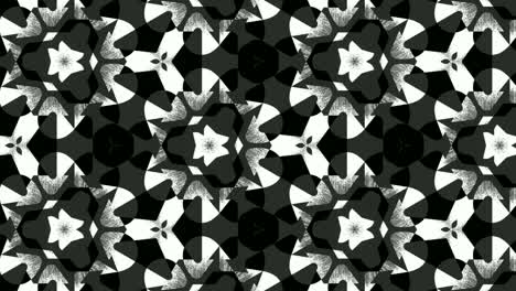 Computerized-animation-of-black-and-white-floral-patterns-popping-and-fading-on-black-background