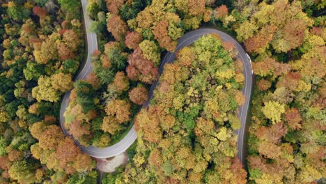 Colorful-curvy-road-as-an-aerial-top-shot
