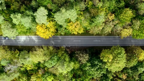 Aerial-top-view-at-a-straight-part-of-a-road-leading-through-a-green-forest-at-summertime