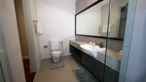 Modernes-Und-Stilvolles-Badezimmer-Mit-Duschkabine