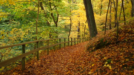 Pfad-Im-Herbstwald
