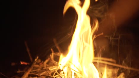 Close-up-of-wild-bonfire-in-the-middle-of-the-forest-at-night