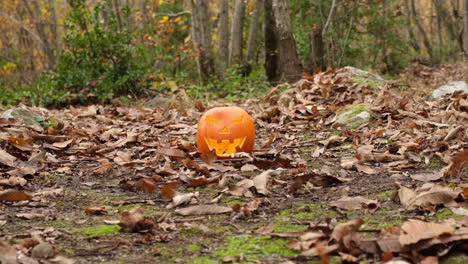 Halloween-Gruseliger-Grinsender-Kürbis-Und-Blätter,-Die-Vom-Wind-Im-Wald-Bewegt-Werden