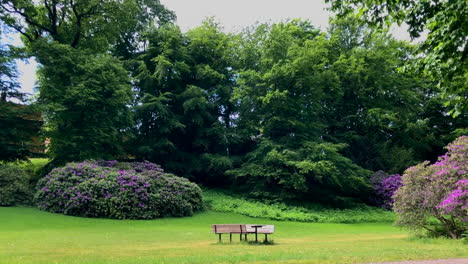 Park-bench-in-the-green-park