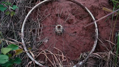 Close-up-of-an-abandon-bike-wheel-between-red-dirt-and-some-tall-grass