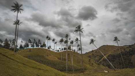 Timelapse-of-famous-Cocora-Valley,-San-Felix-during-cloudy-daytime