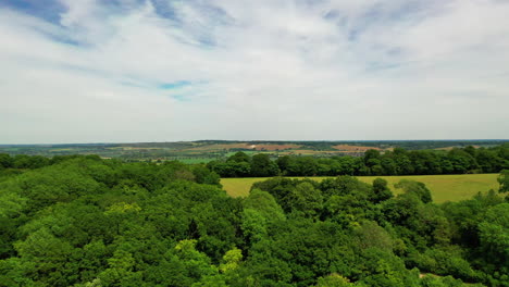 Aerial-tracking-shot-over-a-forest-in-the-English-countryside,-bright-sunny-day
