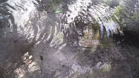 Wellen-Und-Reflexion-Auf-Einer-Wasserpfütze-Nach-Dem-Regen-Auf-Der-Insel-Fidschi