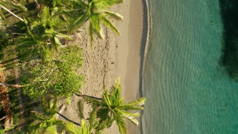 Idyllischer-Tropischer-Weißer-Sand-Am-Strand-Mit-Blauem-Wasser-Und-Palmen-An-Einem-Sonnigen-Tag-In-Fidschi,-Insel-Luftaufnahme