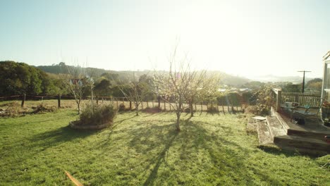 POV-Aufnahme-Mit-Sonneneruptionen-Des-Gartens-Einer-Farm-In-Neuseeland