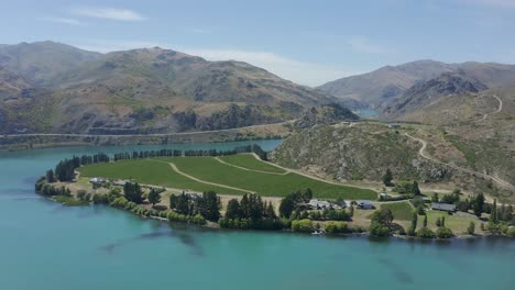 Hovering-above-a-beautiful-lakeside-vineyard-in-Central-Otago-with-heroic-mountains-behind