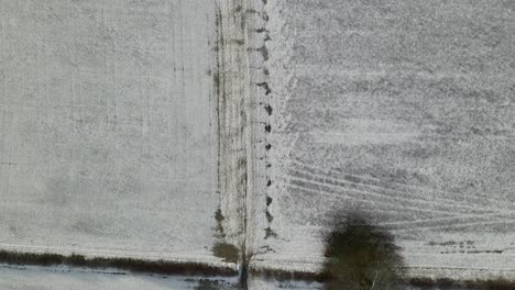 Drone-looking-down-flying-over-a-frozen-field